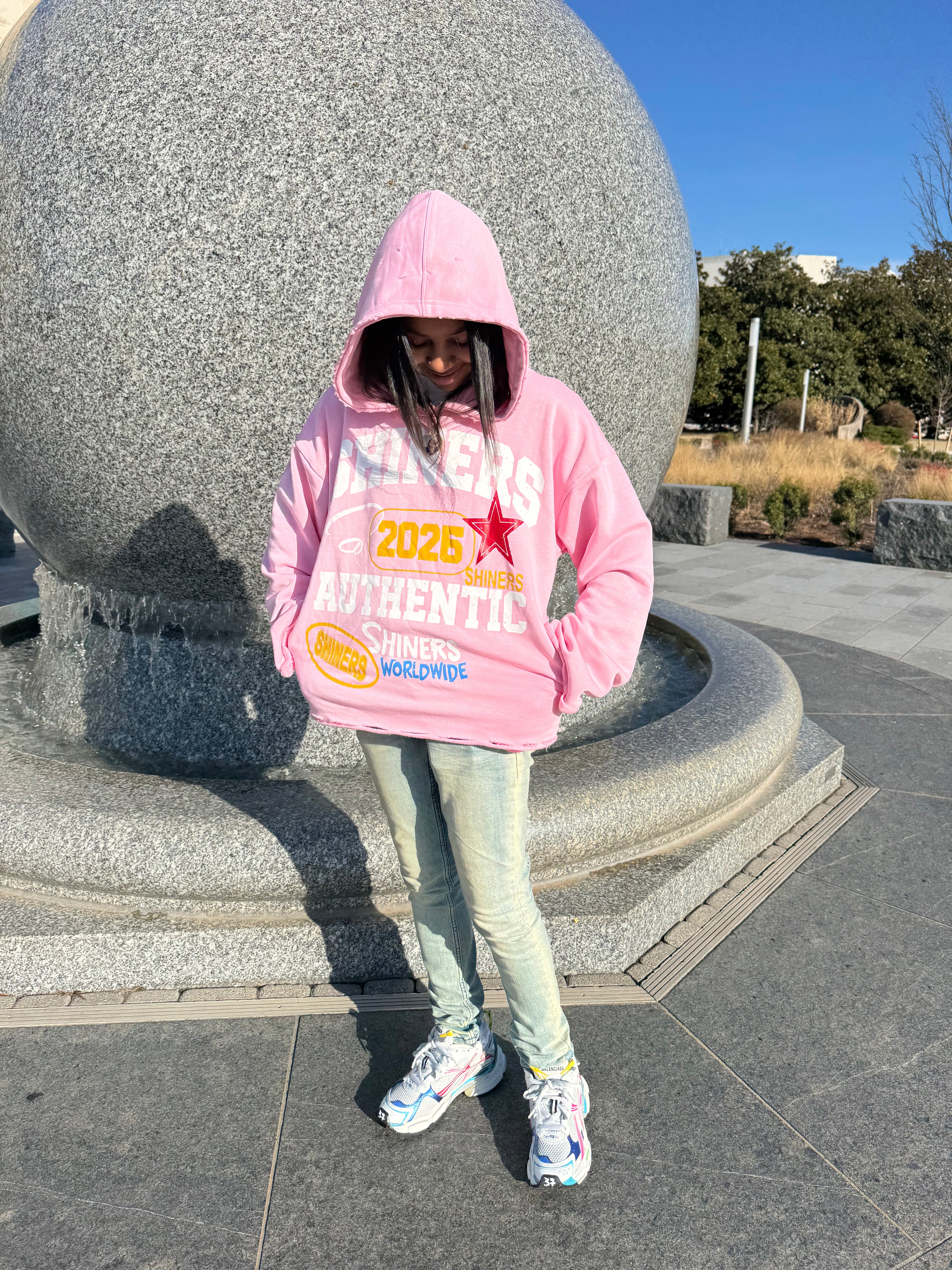 Soft Pink Shiners Hoodie