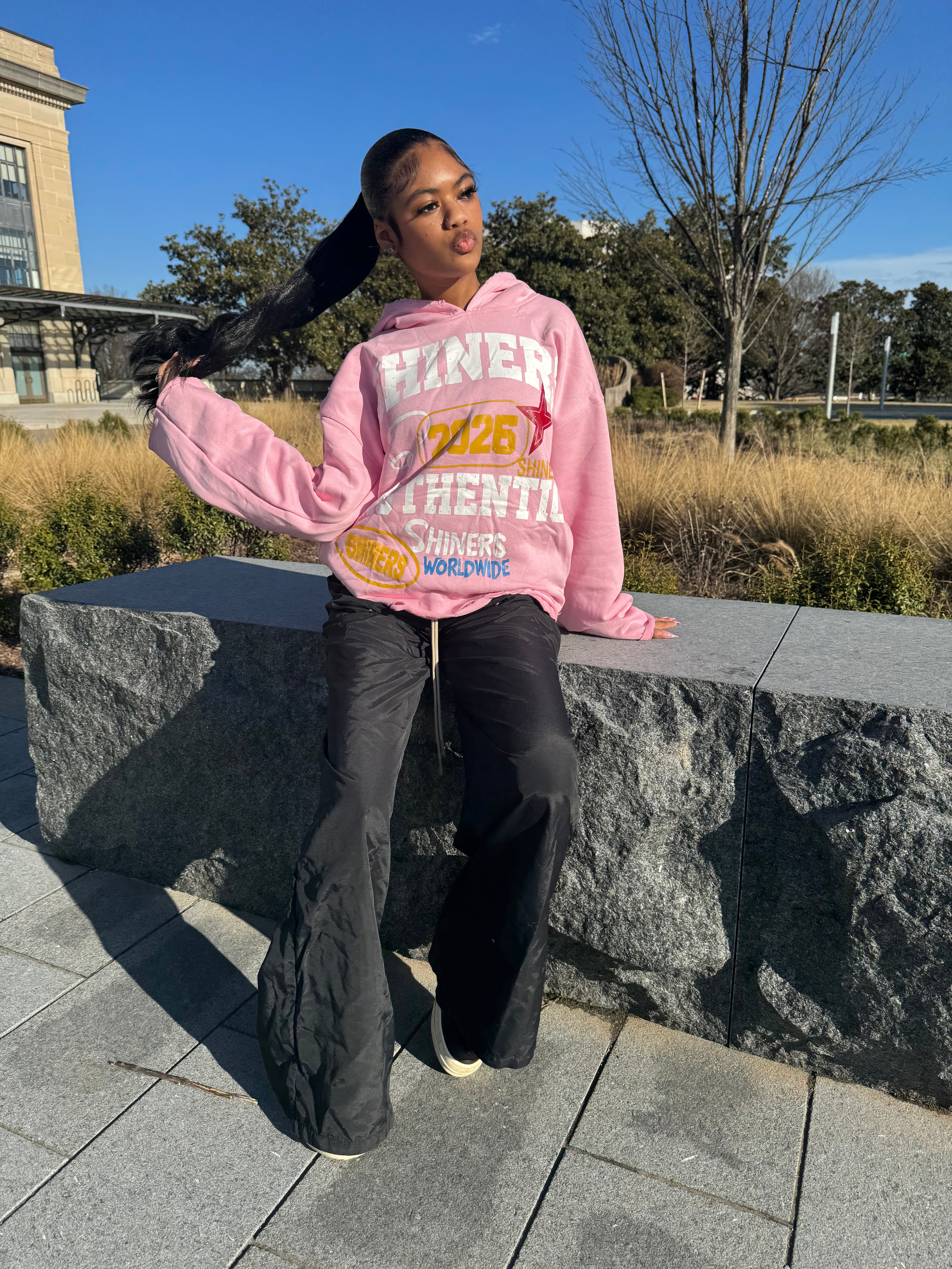 Soft Pink Shiners Hoodie